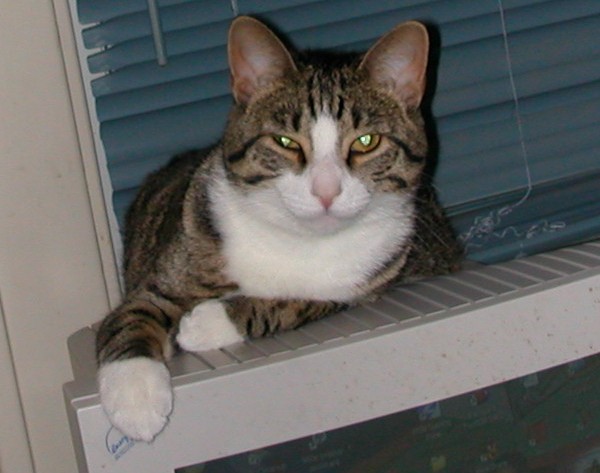 buddy.jpg